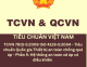 TCVN 7915-5-2009 ISO 4126-5:2004 - Tiêu chuẩn Quốc gia Thiết bị an toàn chống quá áp - Phần 5: Hệ thống an toàn xả áp có điều khiển